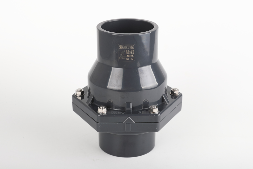 攸县翻板式止回阀